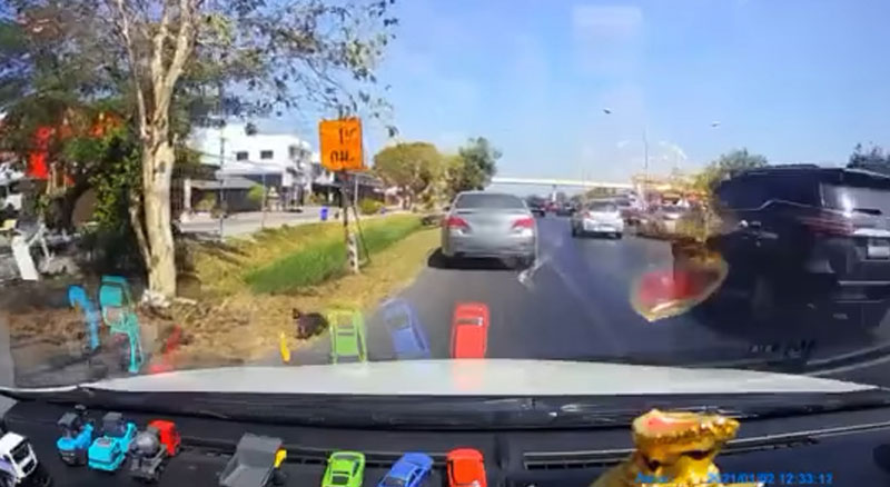 ทิ้งลูกแมว