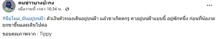 ตัวเงินตัวทอง