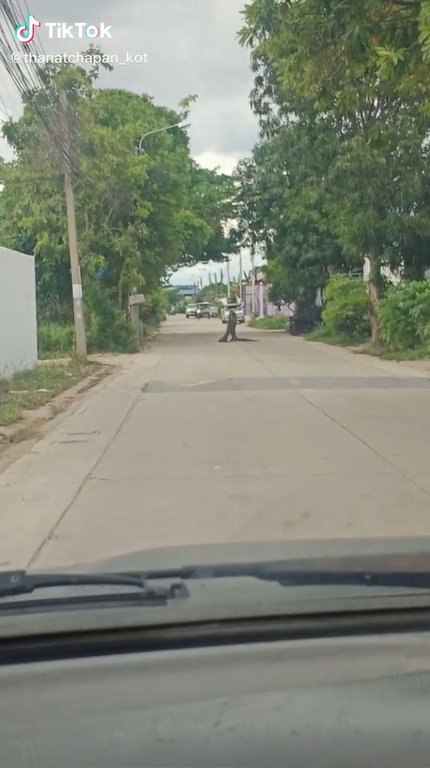 ตัวเงินตัวทอง