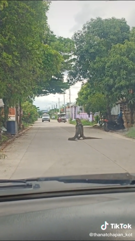 ตัวเงินตัวทอง