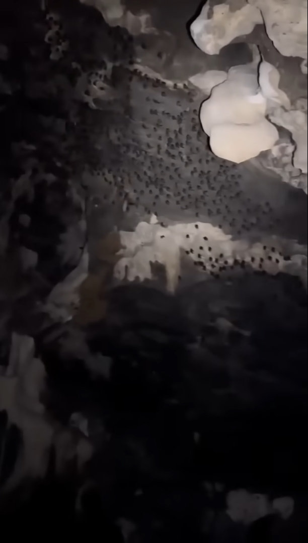 ถ้ำเมืองแก๊ด