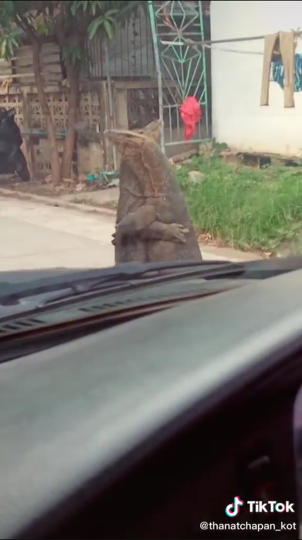 ตัวเงินตัวทอง