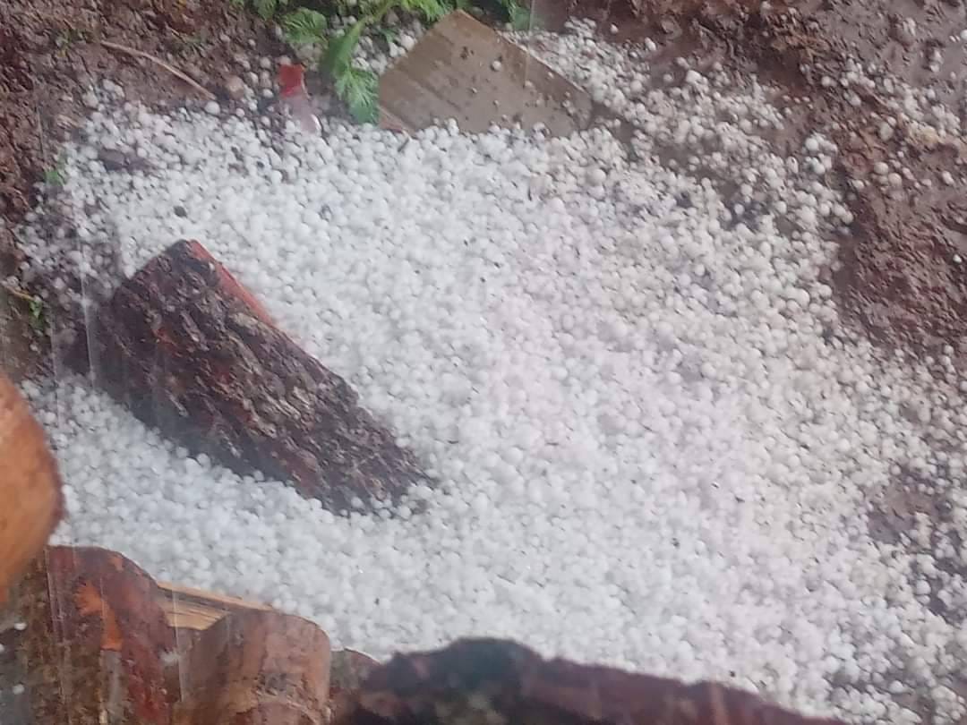 ลูกเห็บตก