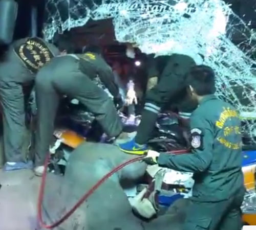 รถทัวร์ชนช้าง