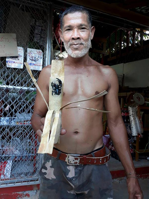 เจอแมงป่องในข้าวหลาม