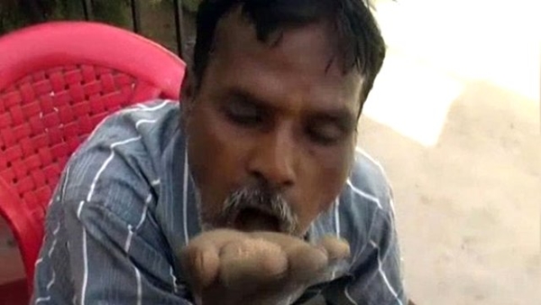 กินแปลก