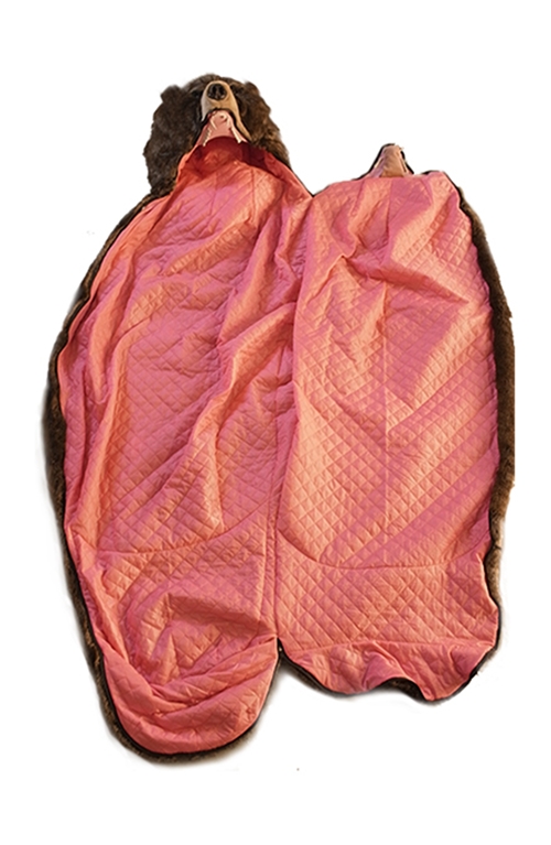 ถุงนอนชุดหมี