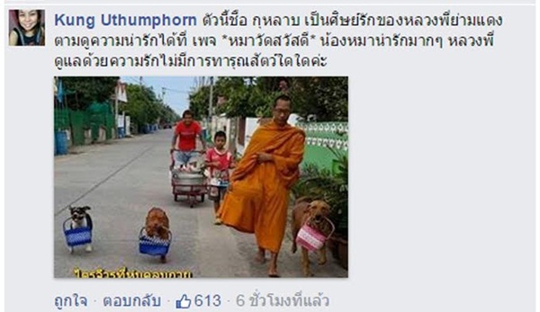 พิทบูลแสนรู้ เดินบิณฑบาตพร้อมพระ อย่างกับเด็กวัด