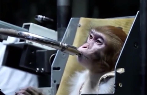 รัสเซียผุดแผนส่ง ลิง ไปอยู่บนดาวอังคารภายในปี 2017