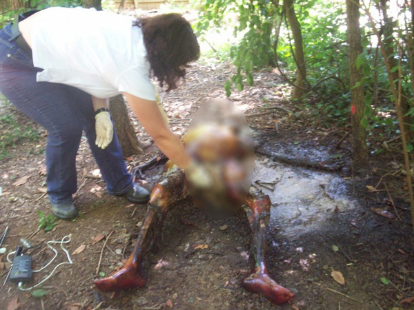 ฟาร์มศพ สถานที่สุดสยองที่ศพถูกทิ้งให้เน่าเปื่อยเพื่อ 