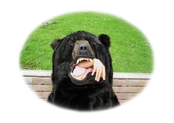 ถุงนอนชุดหมี