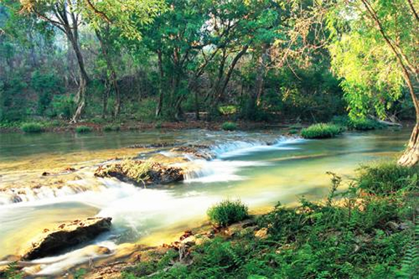 เขตรักษาพันธุ์สัตว์ป่าทุ่งใหญ่-ห้วยขาแข้ง