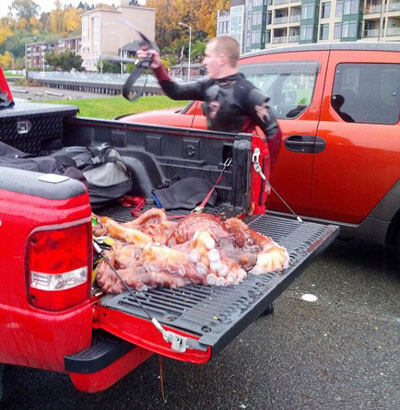 จวกเละ! หนุ่มมะกันจับหมึกยักษ์ทำโครงงานศิลปะ-กินเป็นมื้อเย็น