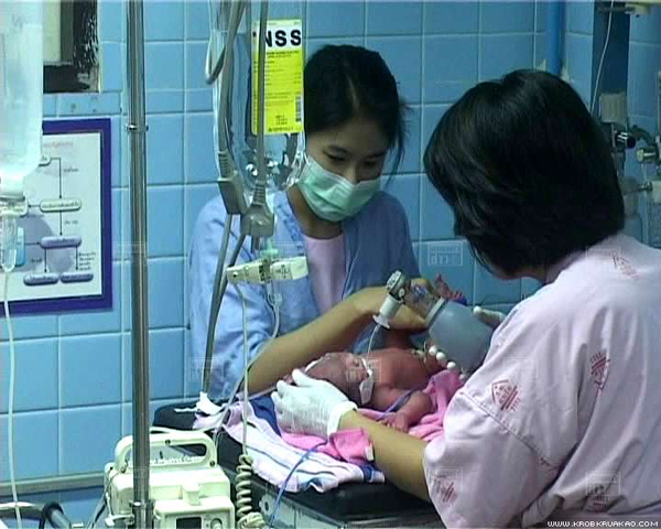 สุนัขฮีโร่พันธุ์ทาง ช่วยชีวิตทารกแรกคลอด ถูกทิ้งถังขยะ