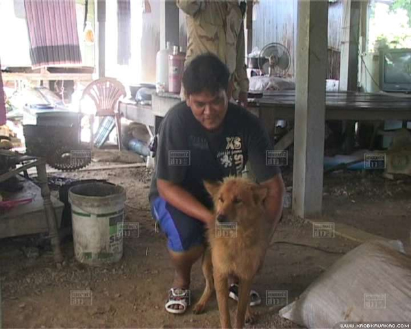 สุนัขฮีโร่พันธุ์ทาง ช่วยชีวิตทารกแรกคลอด ถูกทิ้งถังขยะ