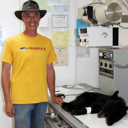  ชายมะกันเจอหมีเจ็บ อุ้มพาขึ้นรถกว่า 1 ชม. ไปโรงพยาบาล