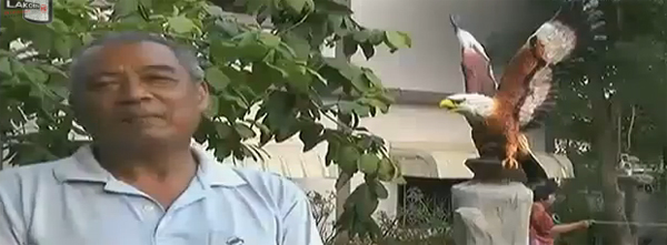 หุ่นปูนปั้นนกอินทรีย์ ไล่นกพิราบได้ แปลกแต่จริง