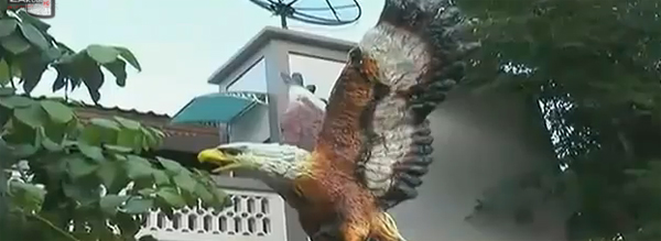 หุ่นปูนปั้นนกอินทรีย์ ไล่นกพิราบได้ แปลกแต่จริง