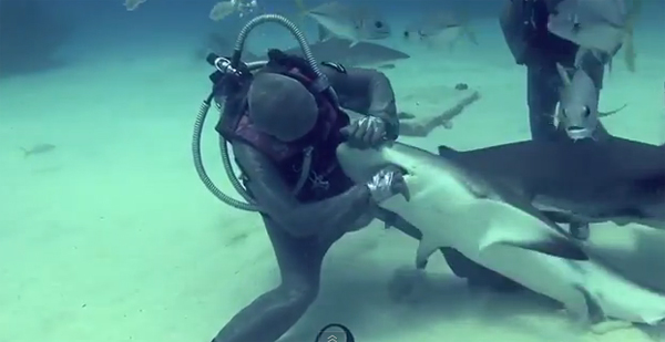 ใจกล้า นักดำน้ำสาวล้วงคอฉลาม ช่วยดึงตะขอเบ็ดออกมา