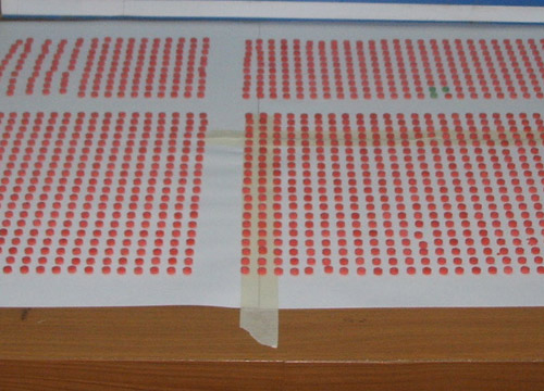  จับยาบ้า 