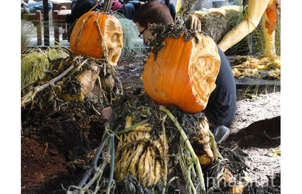 สยองสมจริง! การแกะสลักฟักทองซอมบี้ในสหรัฐฯ