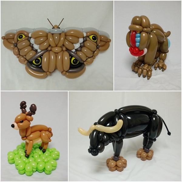  ศิลปะรูปสัตว์จากลูกโป่ง เป๊ะขนาดนี้ทำได้ไงเนี่ย