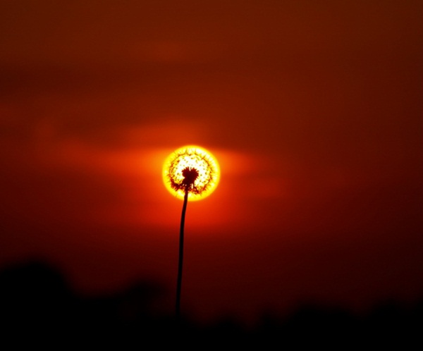 25 ภาพเจ๋ง ๆ ที่ลั่นชัตเตอร์ได้พอดีจนน่าทึ่ง