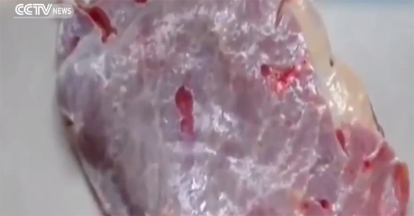 เนื้อวัวซอมบี้ขยับเองได้ ฉงนเกิดจากอะไรกันหนอ