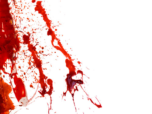 เขยโหด แทงพ่อตาดับ