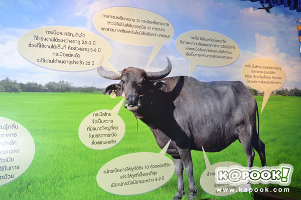 กระทรวงเกษตรฯ นำสื่อเยี่ยมชม โครงการตามพระราชดำริฯ สระแก้ว ปราจีนบุรี