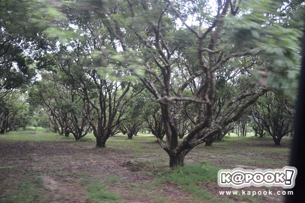 กระทรวงเกษตรฯ นำสื่อเยี่ยมชม โครงการตามพระราชดำริฯ สระแก้ว ปราจีนบุรี