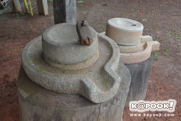 กระทรวงเกษตรฯ นำสื่อเยี่ยมชม โครงการตามพระราชดำริฯ สระแก้ว ปราจีนบุรี