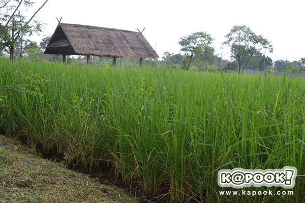 กระทรวงเกษตรฯ นำสื่อเยี่ยมชม โครงการตามพระราชดำริฯ สระแก้ว ปราจีนบุรี