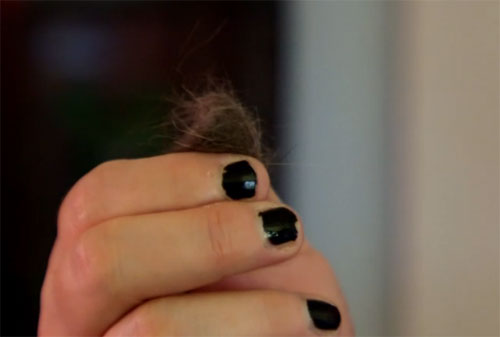 แปลก! หญิงมะกันชอบเลีย-กินขนแมว เป็นอาหารว่าง