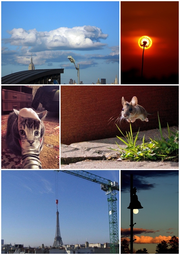 25 ภาพเจ๋ง ๆ ที่ลั่นชัตเตอร์ได้พอดีจนน่าทึ่ง