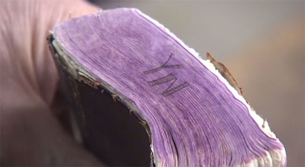 คืนชีพหนังสือเก่าเยิน ๆ ให้กลับมาใหม่เหมือนเพิ่งซื้อ