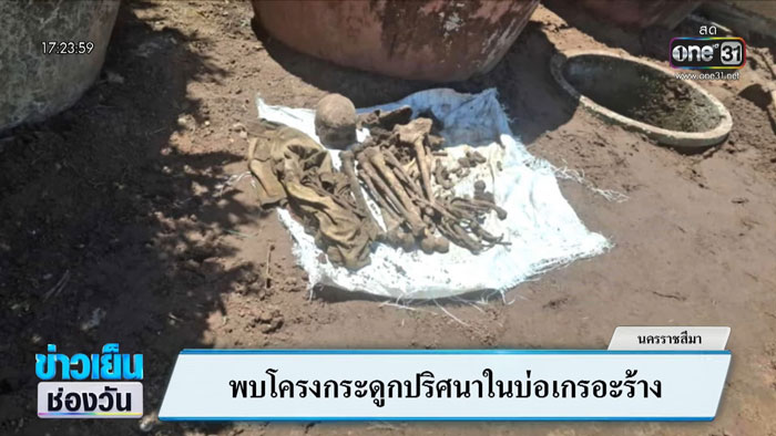 โครงกระดูก