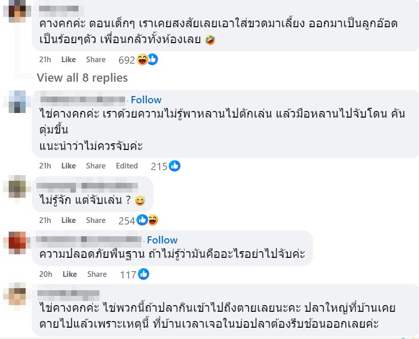 ไข่คางคก