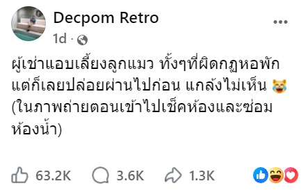 แมว