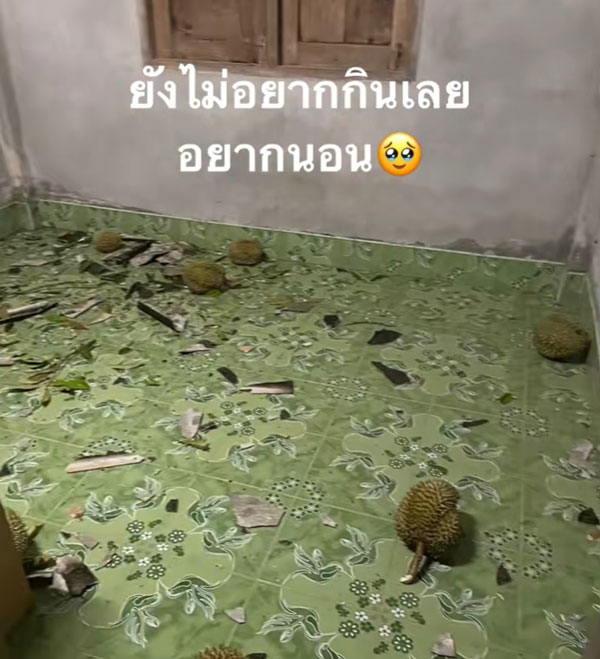 ทุเรียน