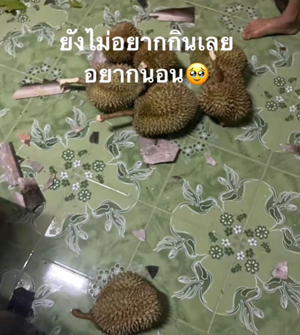 ทุเรียน