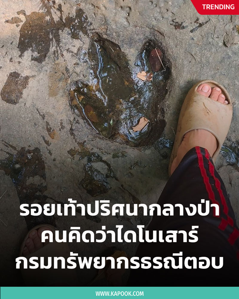 รอยเท้าไดโนเสาร์