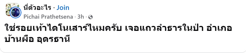 รอยเท้าไดโนเสาร์