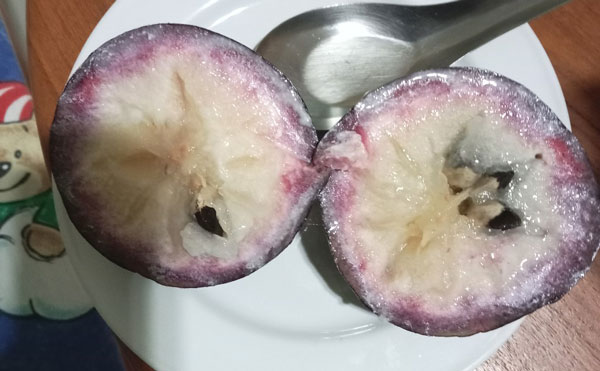 Star Apple