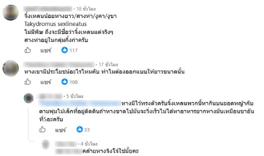 สางห่า