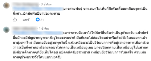 สางห่า