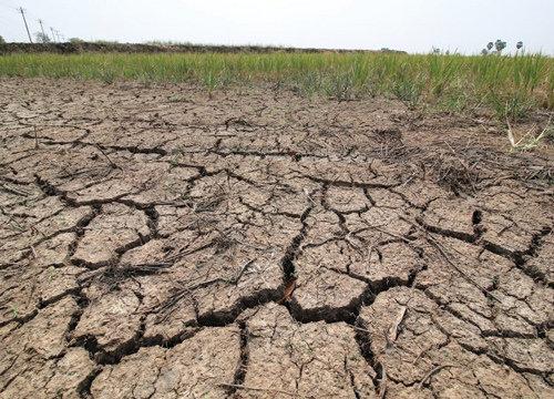 ภัยแล้ง