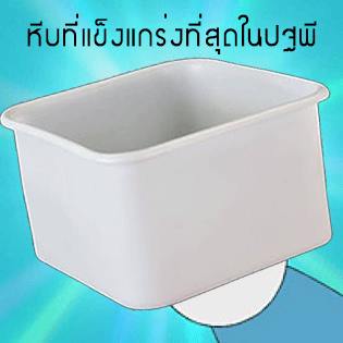 หีบบัตรประชามติ