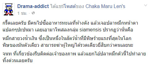 ปลาหมึกสายวงน้ำเงิน