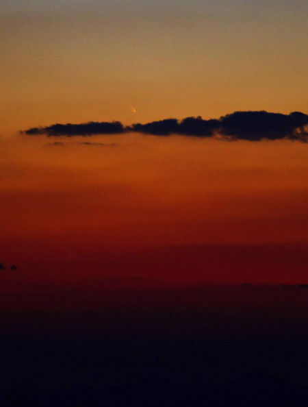 แพนสตาร์